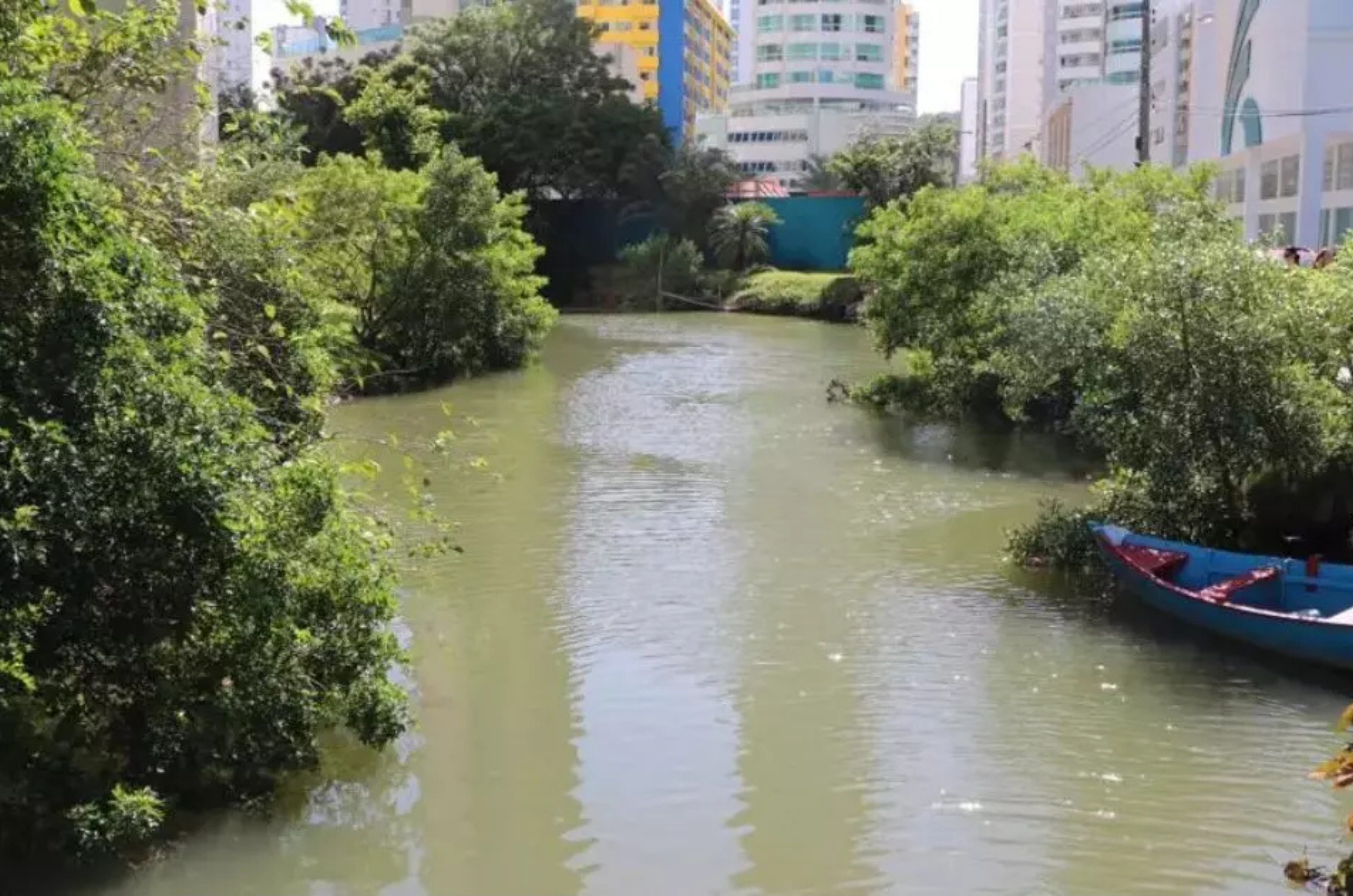 Emasa estuda modelo do Rio Pinheiros para despoluir rios