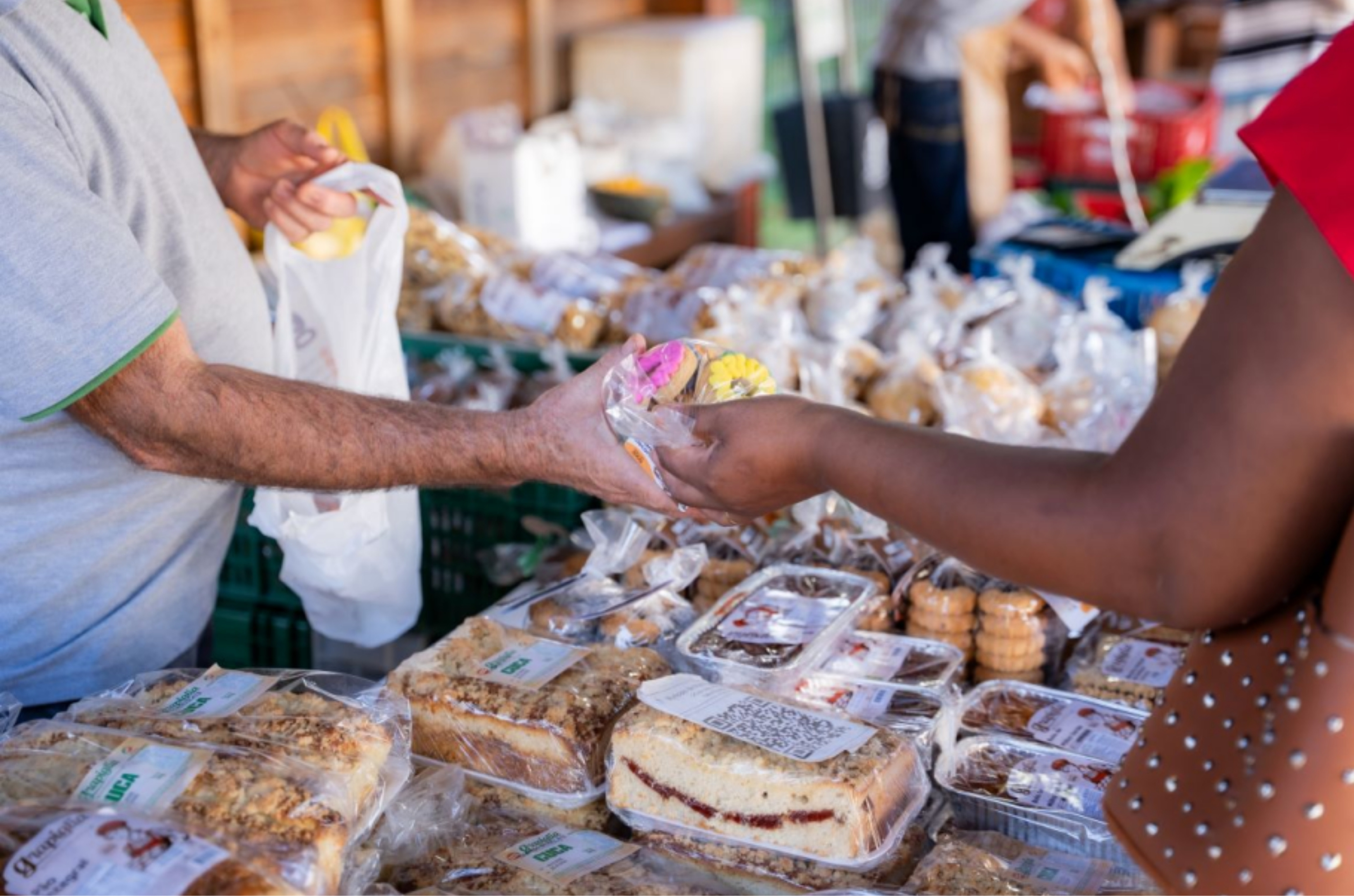 Feira da Agricultura Familiar fortalece renda e valoriza produtores em Morro da Fumaça