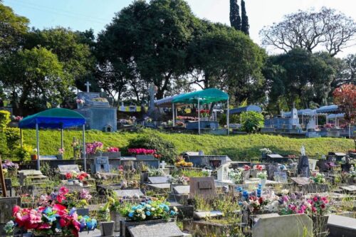 Florianópolis amplia oferta de serviços funerários buscando evitar cartel
