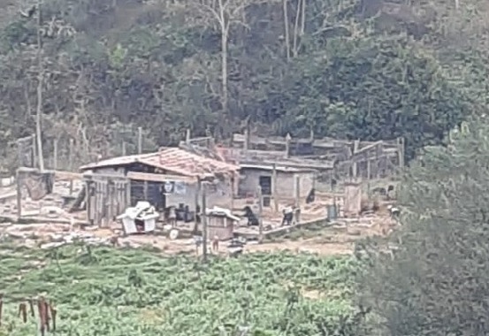 Força-tarefa resgata 70 cães e leva suspeito de maus-tratos a julgamento em Biguaçu