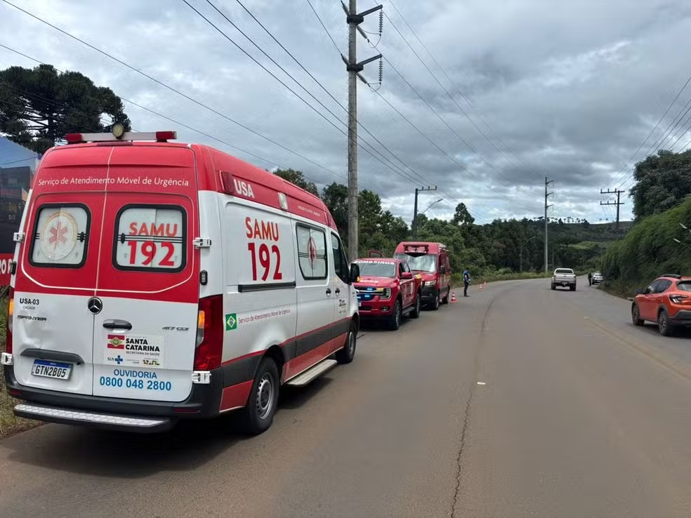 Homem é atacado por enxame de abelhas e sofre mais de 100 picadas em Santa Catarina