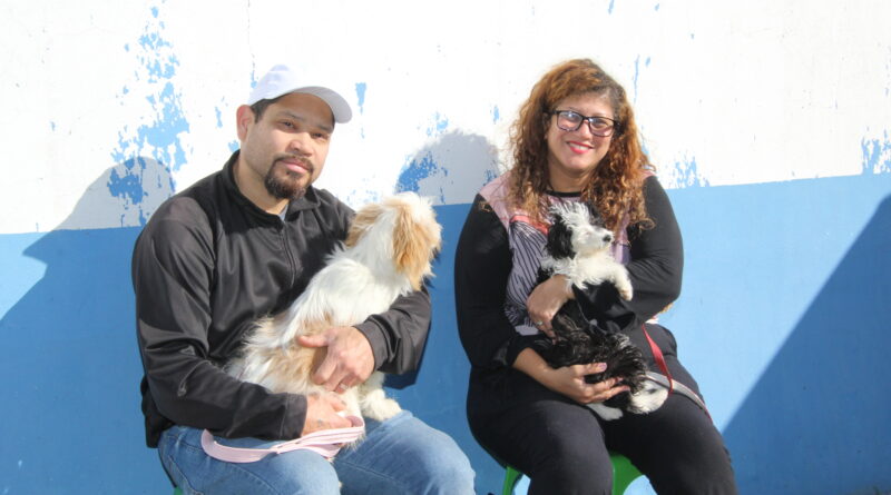 Maior mutirão de castração da história de Navegantes é anunciado com 3 mil novas vagas