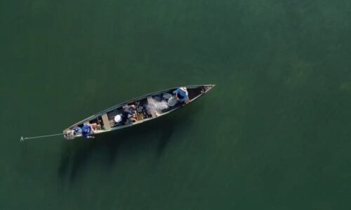 Ministério da Pesca cancela mais de 76 mil licenças de pescadores no país