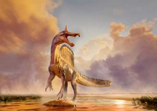 Nova espécie de dinossauro é descoberta no Saara