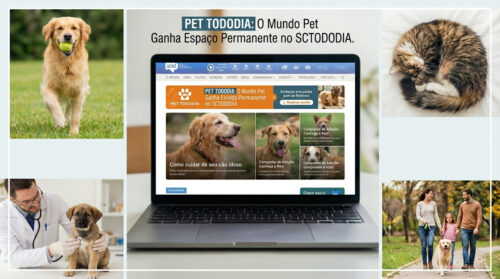 🐶 PET TODODIA: o mundo pet ganhou um espaço fixo no SCTODODIA