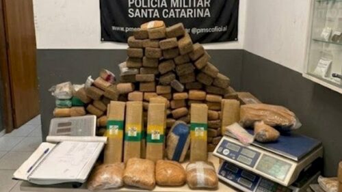 PM apreende quase 150 kg de maconha em Florianópolis