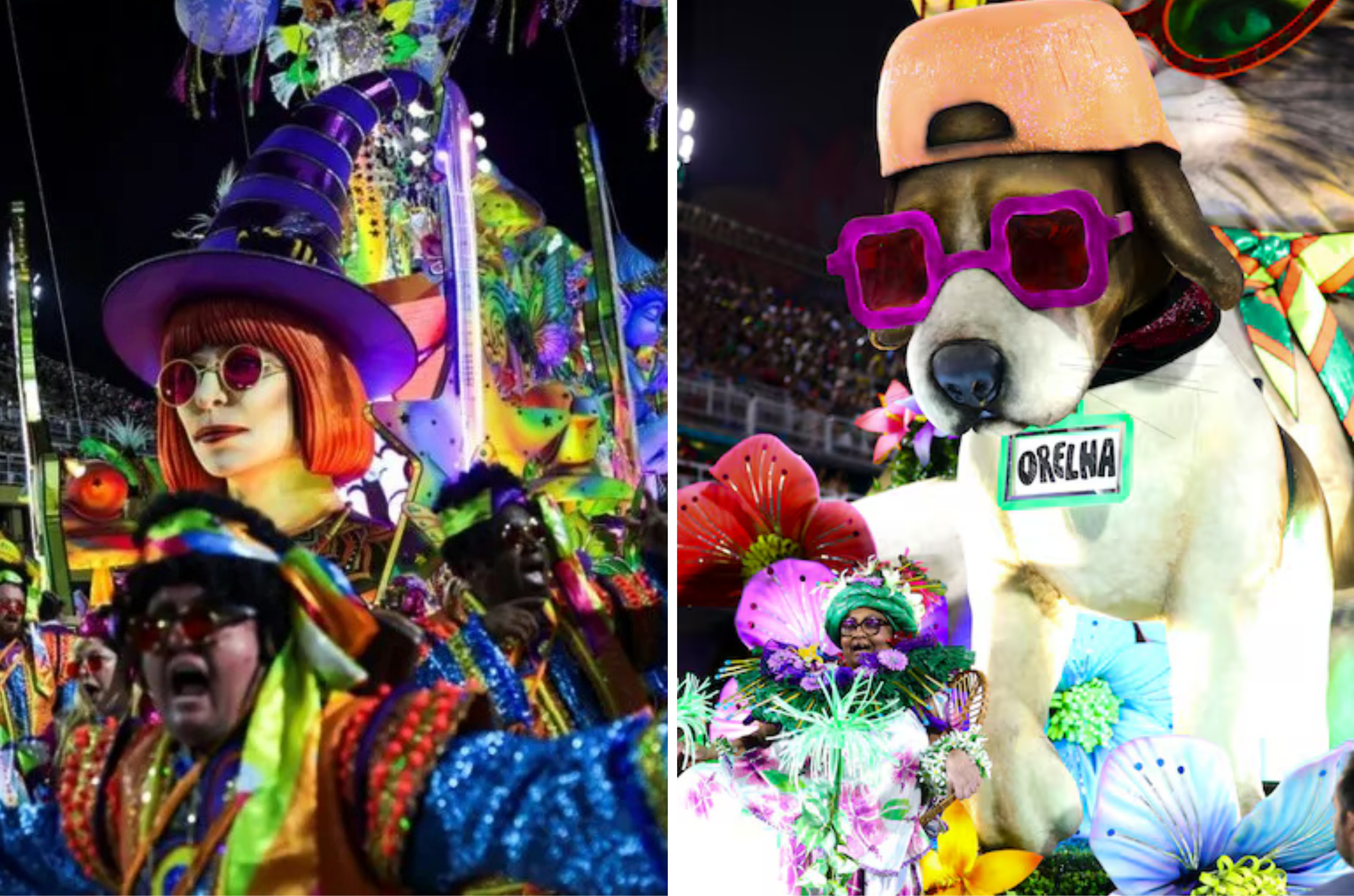 Roberto de Carvalho se emociona em desfile que homenageou Rita Lee