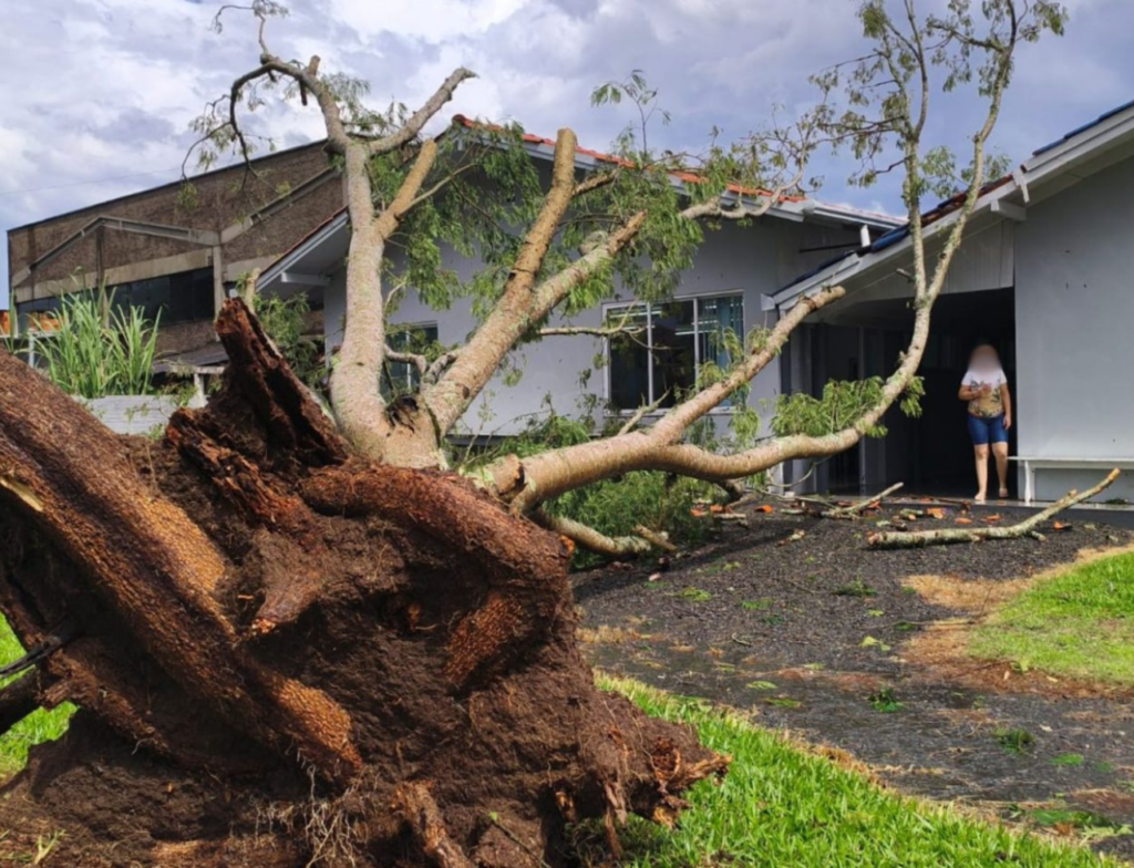 Chuva intensa provoca destelhamento e quedas de árvores em SC