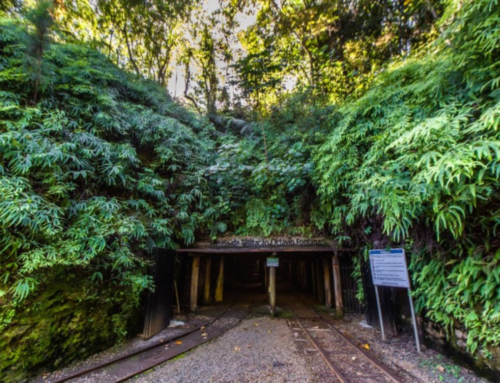 Mina de visitação em Criciúma supera 20 mil turistas