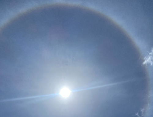 Halo solar volta a aparecer e forma anel no céu de Laguna