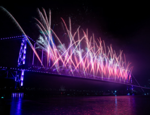 Alesc aprova proibição de fogos com estampido em SC