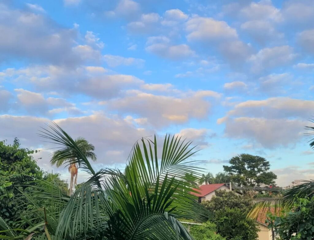 Sábado terá sol e calor de até 34°C em Santa Catarina