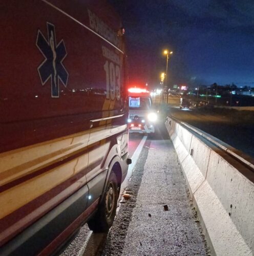 Filhote de gato preso em viaduto da BR-101 resgatado em Itajaí