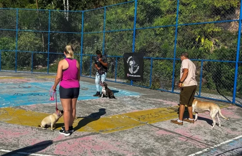 Programa gratuito de adestramento de cães abre segunda turma em BC