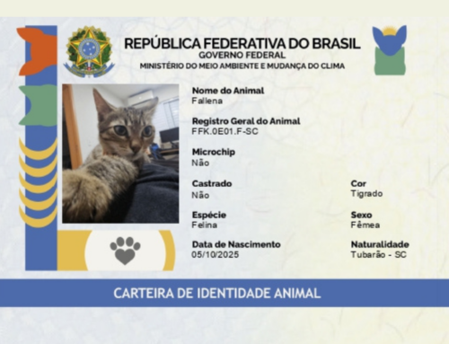 Vanessa Negrini detalha RG Animal em entrevista à Rádio Cidade em Dia