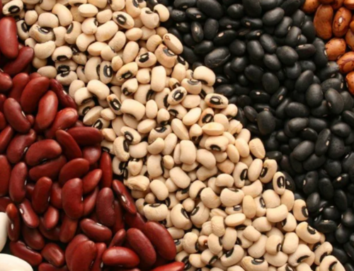 Feijão é apontado por pesquisadores como aliado da longevidade