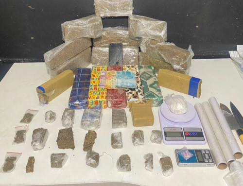 Polícia Militar apreende mais de 14 kg de drogas e prende mulher em Itajaí