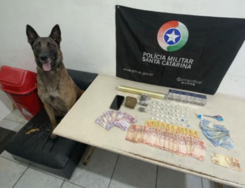 Dono de mercearia é preso por tráfico em Araranguá