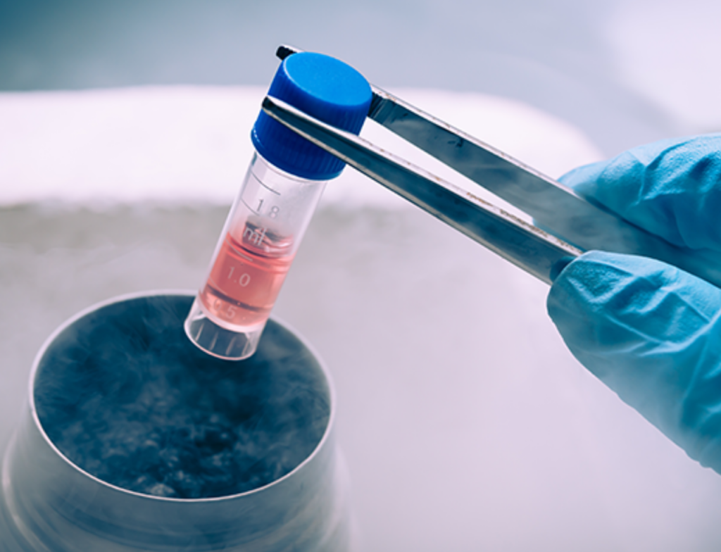 Preservação da fertilidade garante chance de engravidar no futuro