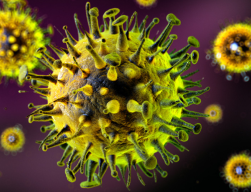 Especialista alerta para vírus que preocupam em 2026