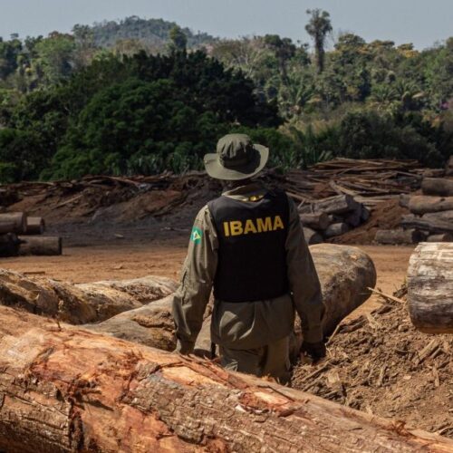 Emboscada resulta em agressões contra agentes do Ibama em área florestal no Amazonas