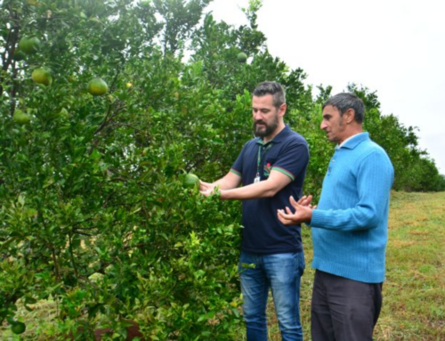 Extensão rural fortalece produção em Santa Catarina há 70 anos