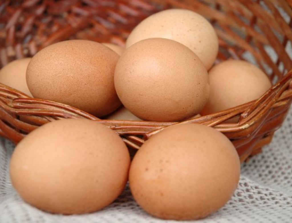 Preço dos ovos inicia alta sazonal e mercado projeta avanço com aproximação da Páscoa