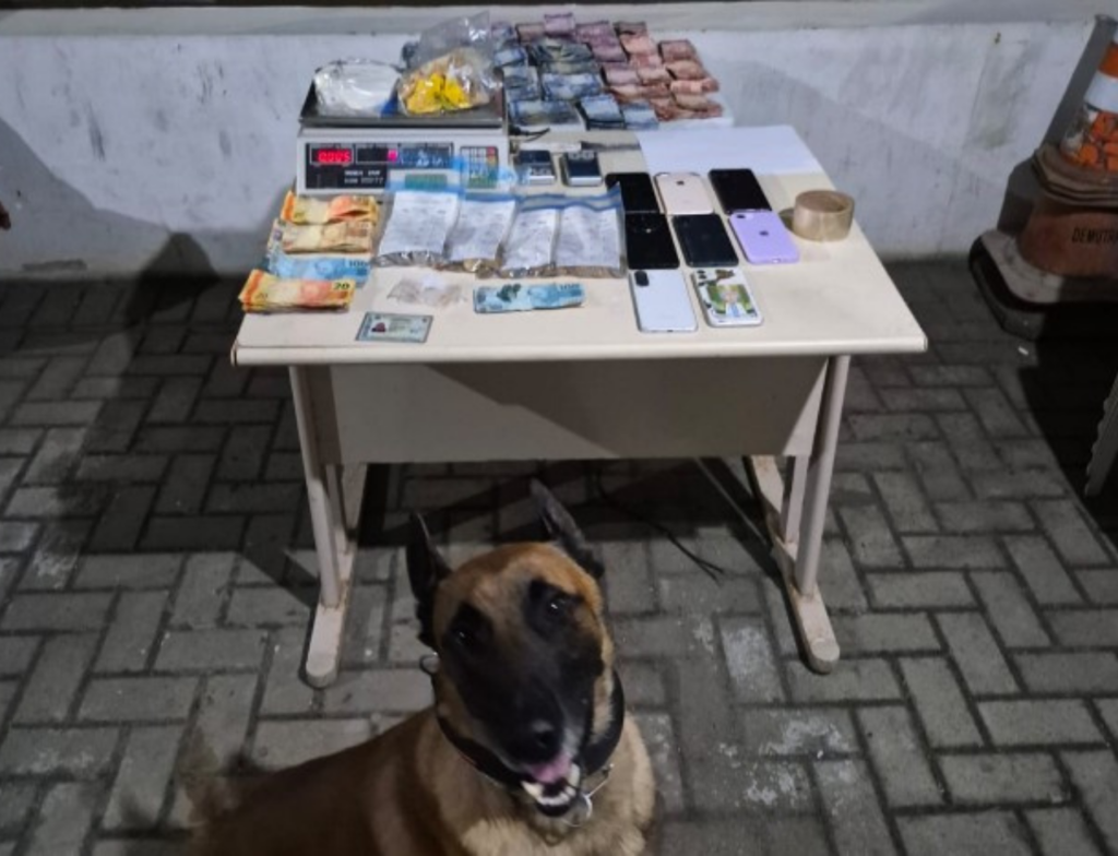 Polícia Militar prende cinco pessoas por tráfico de drogas em Laguna. Foto: Divulgação/PM