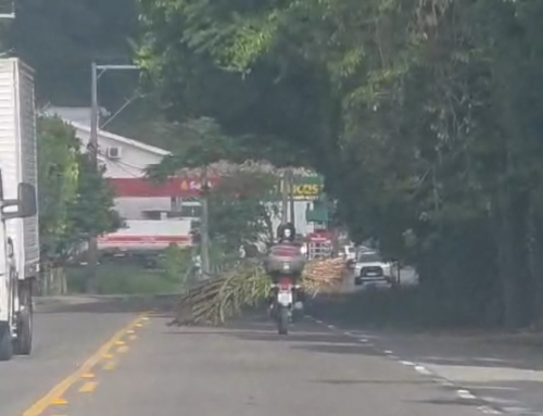 Motociclista é flagrado transportando carga de cana-de-açúcar em moto na SC-390