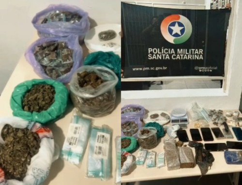 PM desarticula tráfico por tele-entrega em Tubarão e apreende mais de 2,5kg de drogas