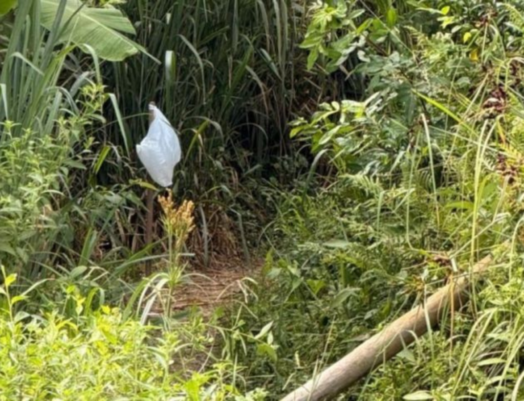Pai e filha morrem após choque elétrico em trilha em Imbituba