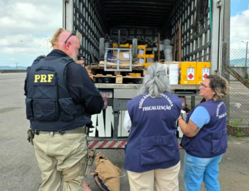 Caminhão com alimentos e produtos perigosos é autuado na BR-101