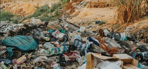 Descarte irregular de lixo gera multas e alerta em São José