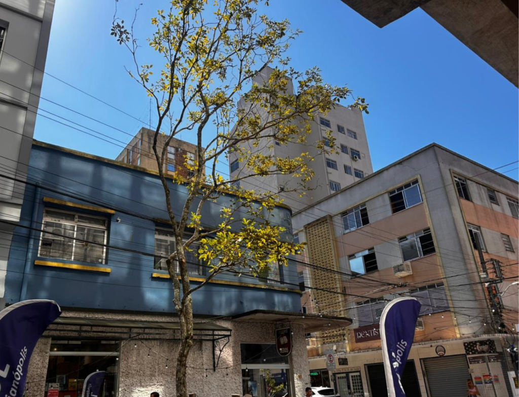 Florianópolis inicia plantio de árvores no Centro