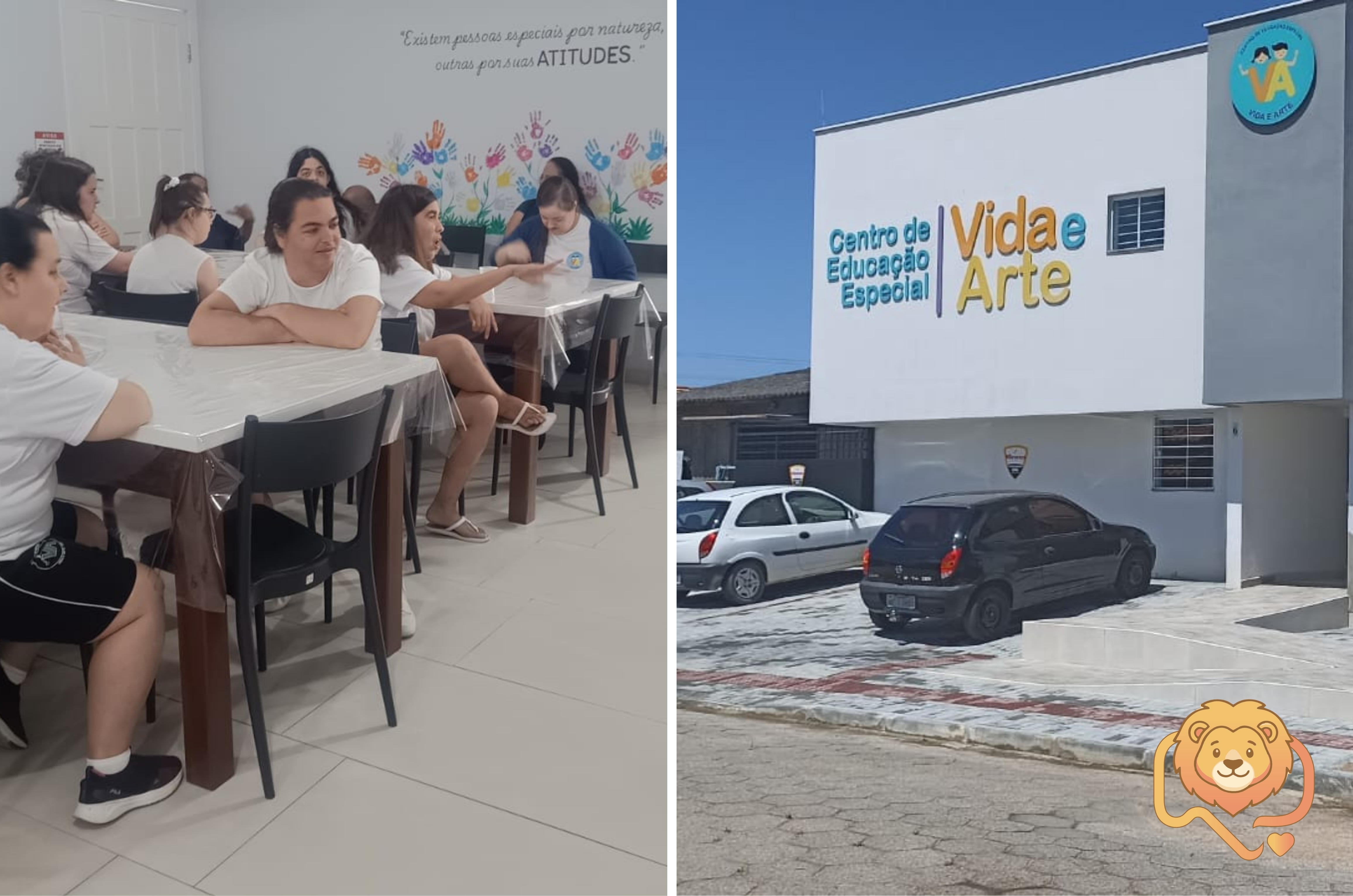 Leão do Bem: entidade de Tubarão que atende 240 pessoas pode receber parte do seu Imposto de Renda