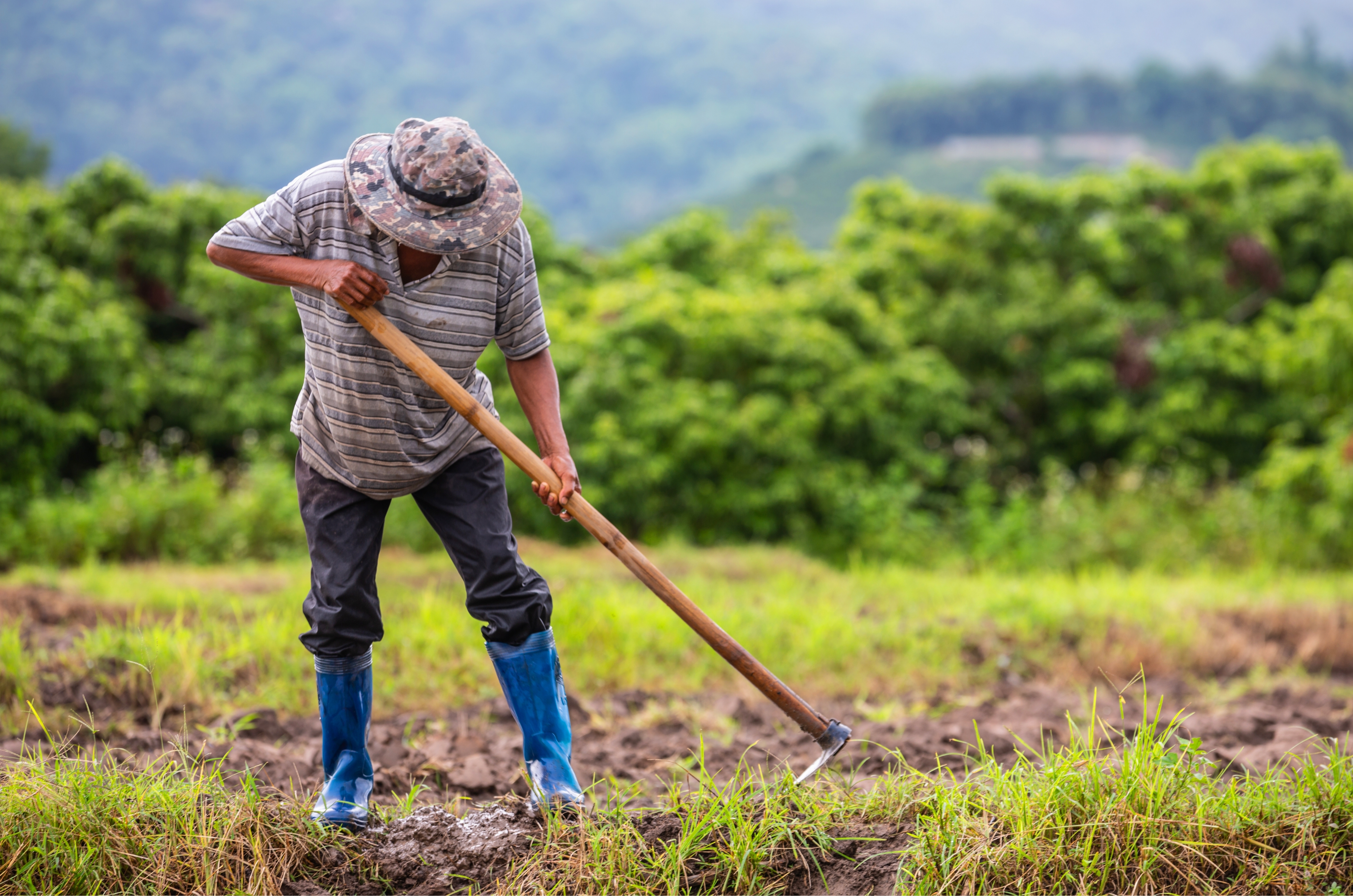 Nova regra do INSS acaba com multa e facilita aposentadoria