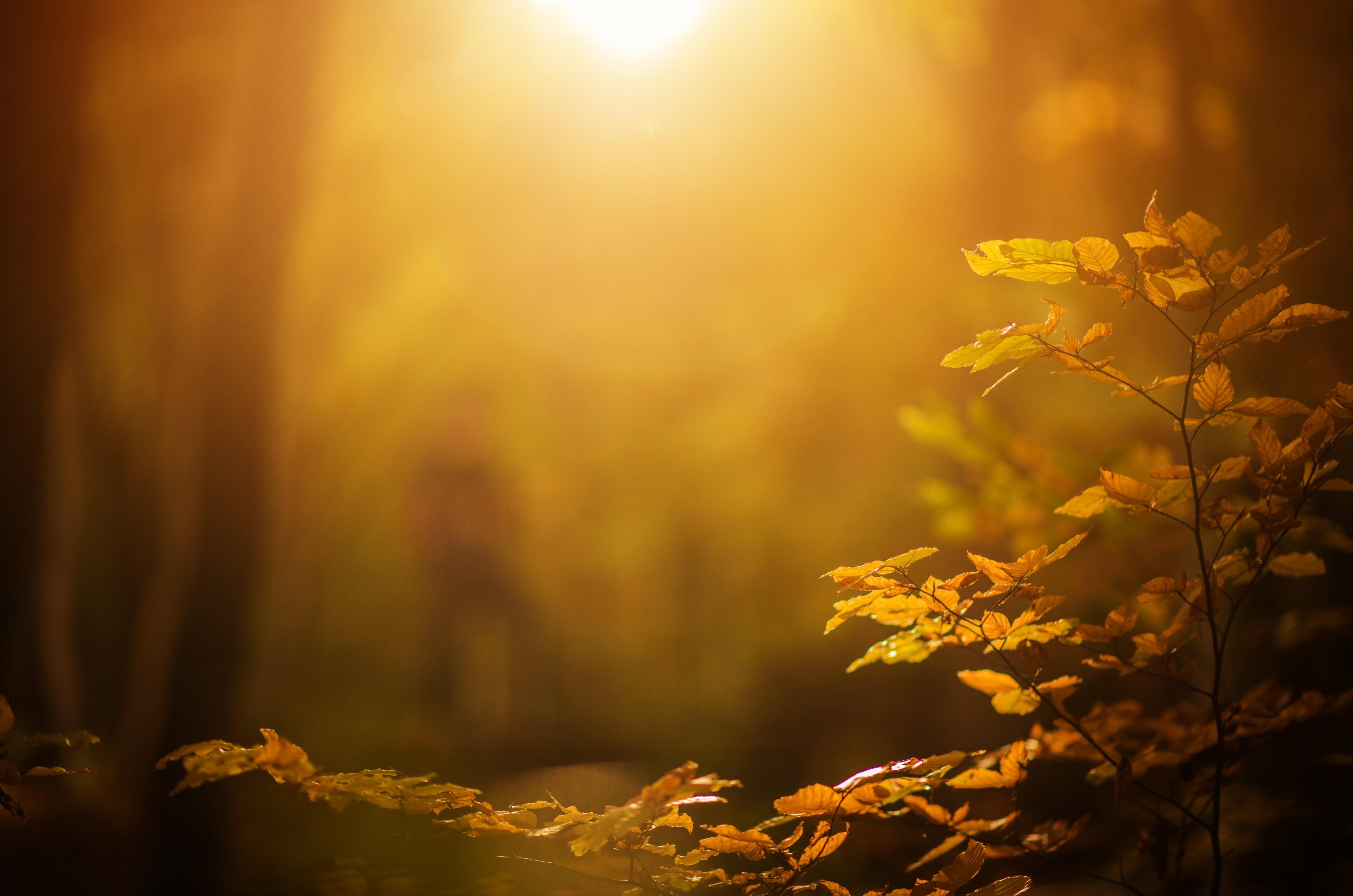 Outono em Santa Catarina chega com calor fora do normal e risco de temporais