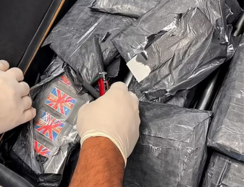 Passageira é presa com 10 kg de haxixe no aeroporto de Florianópolis