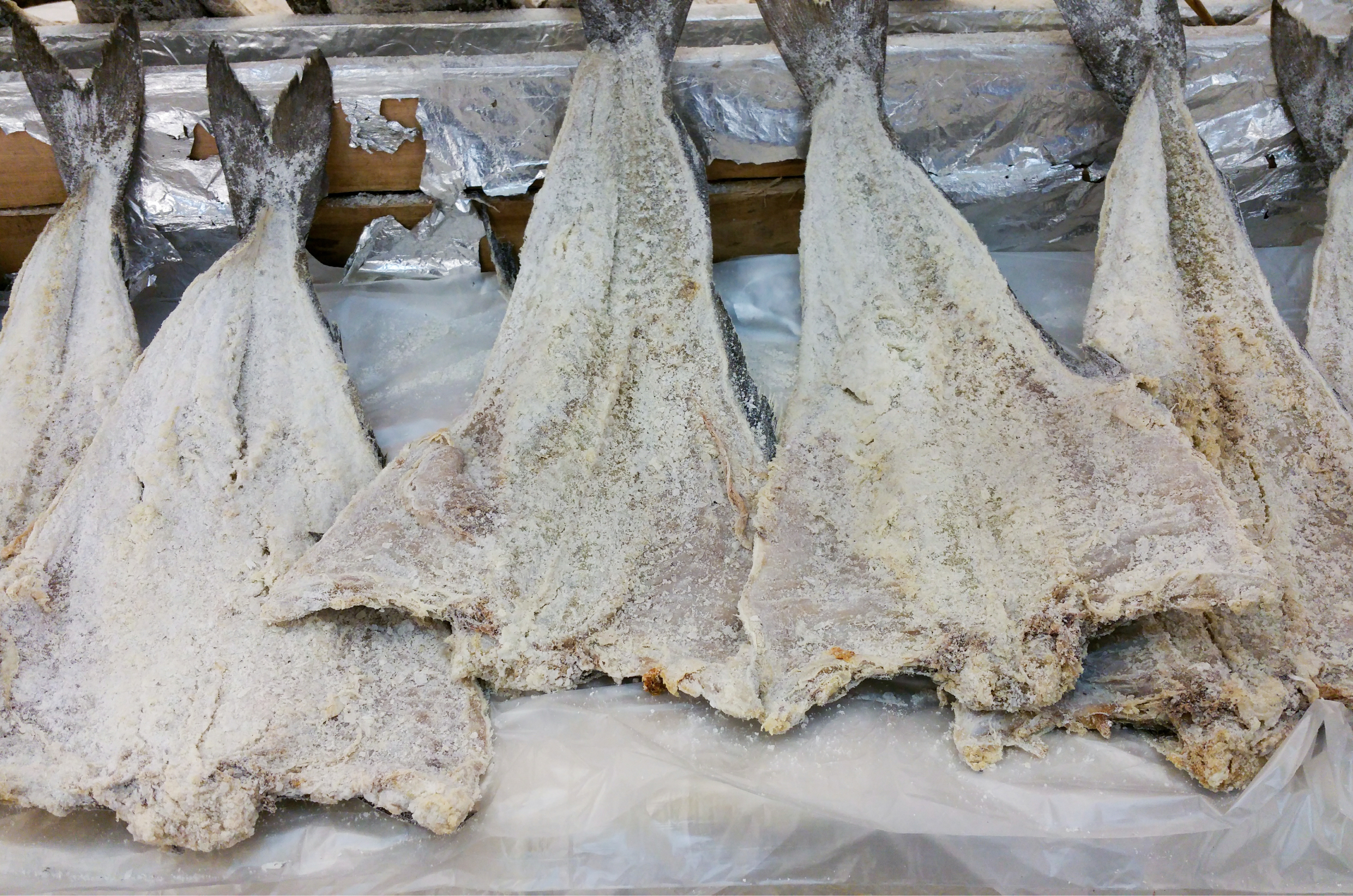 Preço do bacalhau dispara até 137% em Florianópolis