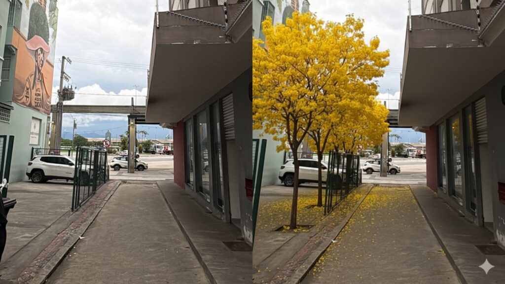 Projeto prevê ampliar arborização no Centro de Florianópolis