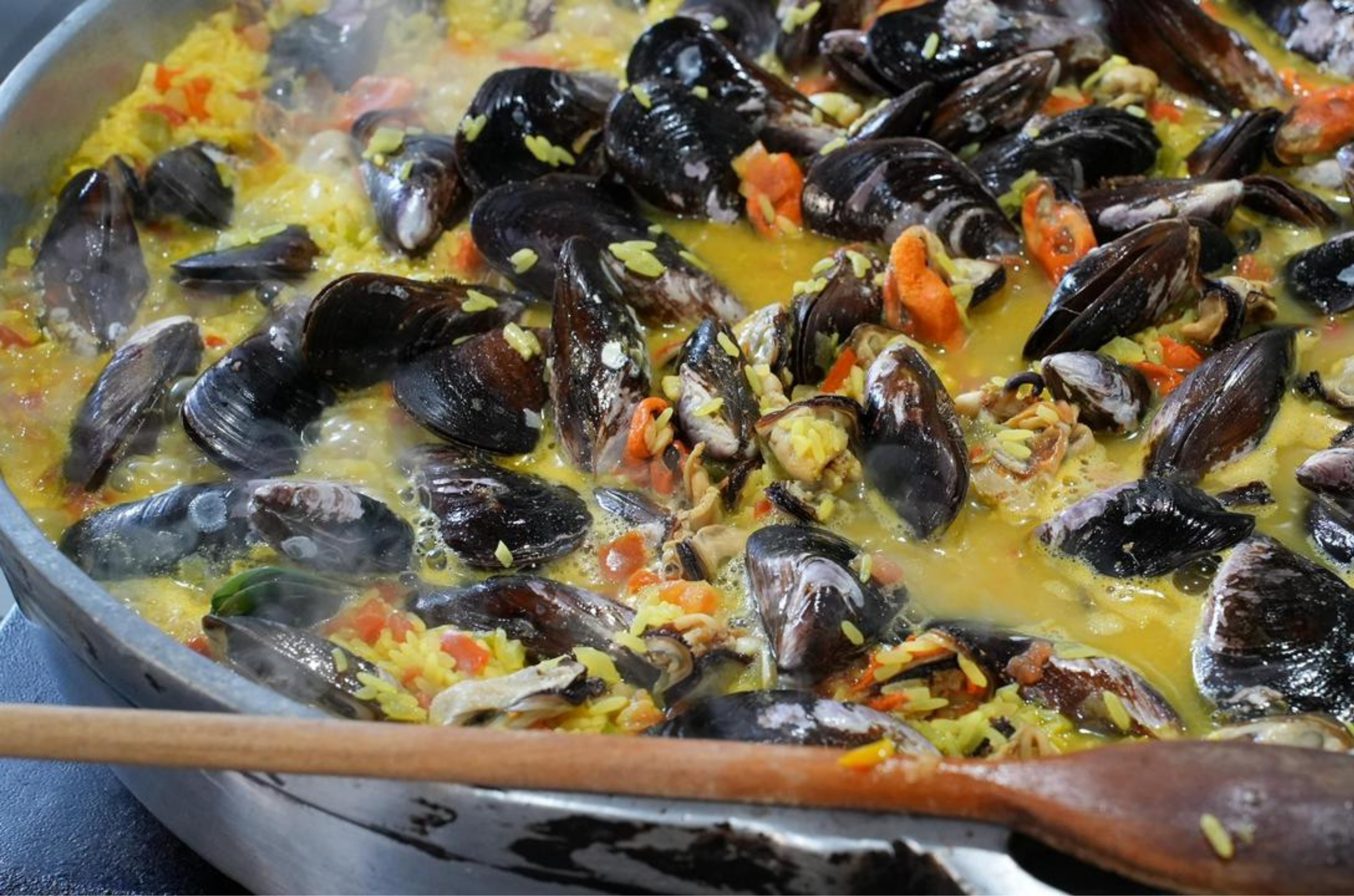 Receita do Lambe-Lambe: prato da Festa do Marisco vira febre em SC