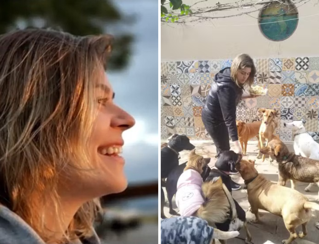 Quatro anos sem Alice: 24 cães mantêm sonho vivo