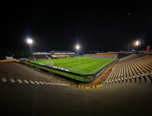 Novorizontino e Palmeiras decidem o Paulistão neste domingo