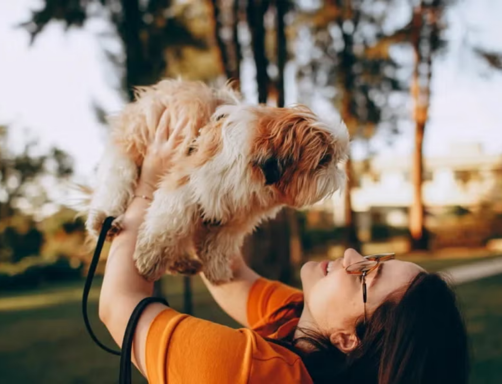 Por que cães escolhem uma pessoa favorita na família?