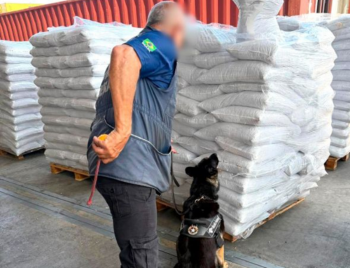 Receita Federal apreende 69 kg de cocaína no porto de Navegantes
