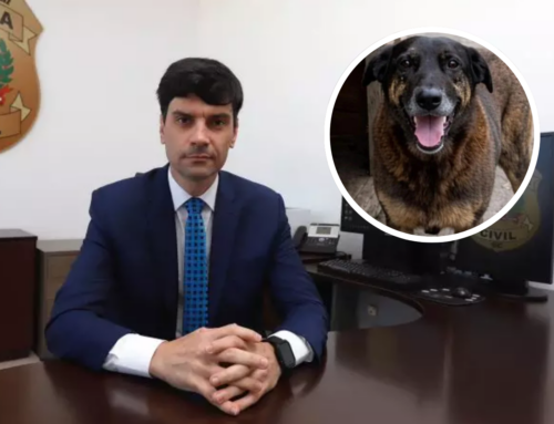 TJ-SC suspende investigação criminal contra ex-delegado no caso Orelha