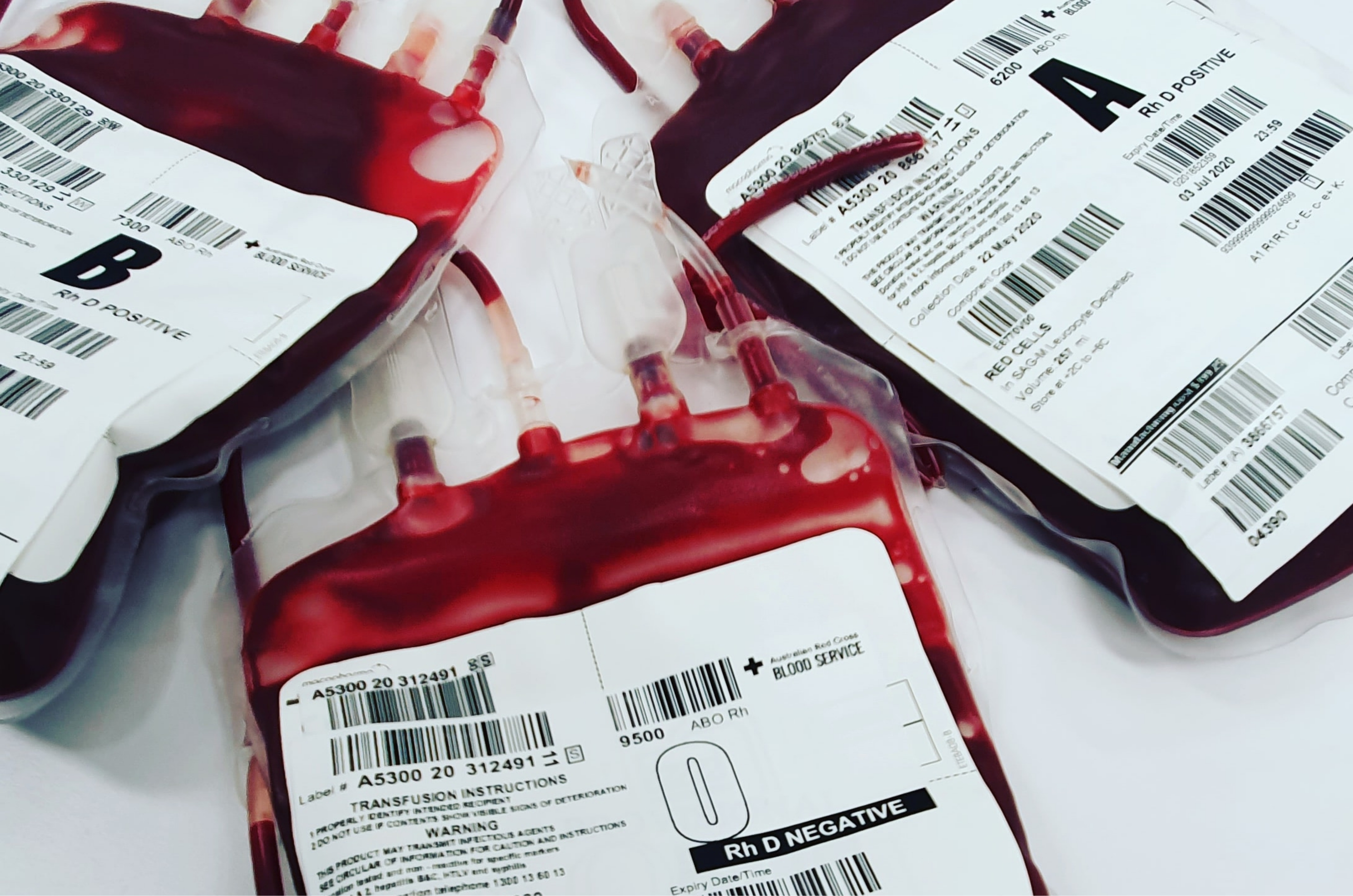 Transfusão: testemunhas de Jeová mudam regra e liberam uso do próprio sangue