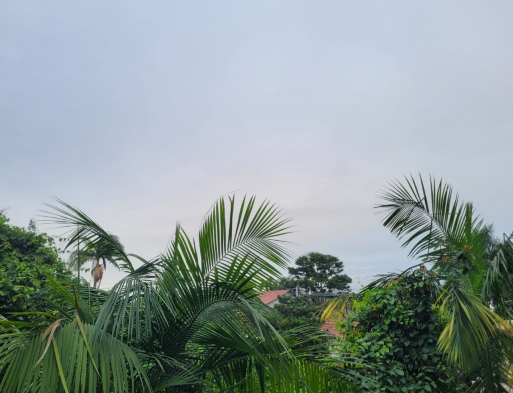 Tempo instável e mar agitado marcam a terça-feira em Santa Catarina