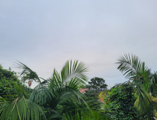 Tempo instável e mar agitado marcam a terça-feira em Santa Catarina