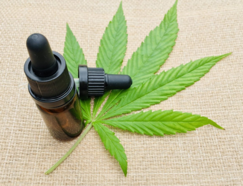 Balneário Gaivota avança na implantação da cannabis medicinal